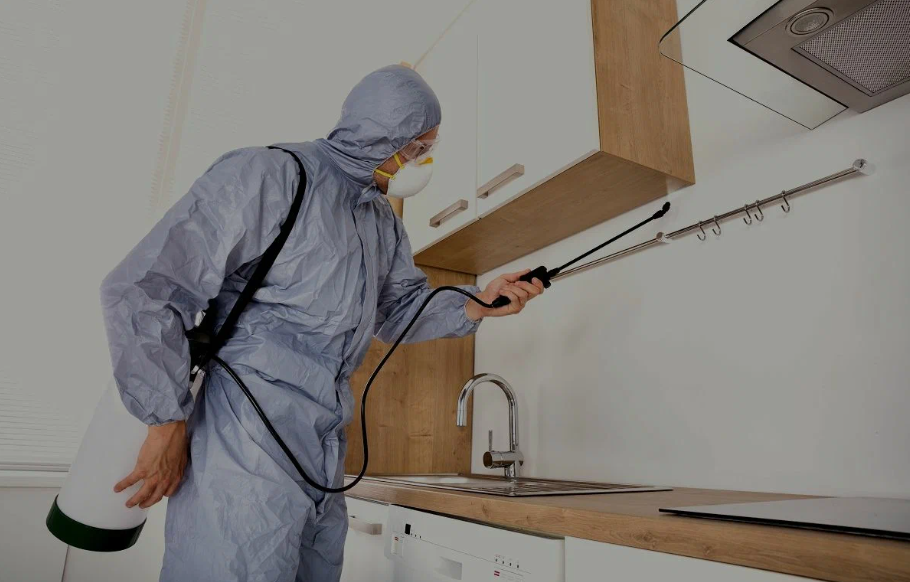Barstow pest managment